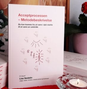 Bog Acceptprocessen - Metodebeskrivelse Acceptprocessen — Metodebeskrivelse — Bog skrevet af Lise Seidelin